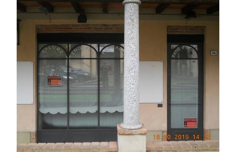 immagine annuncio 1 di 7