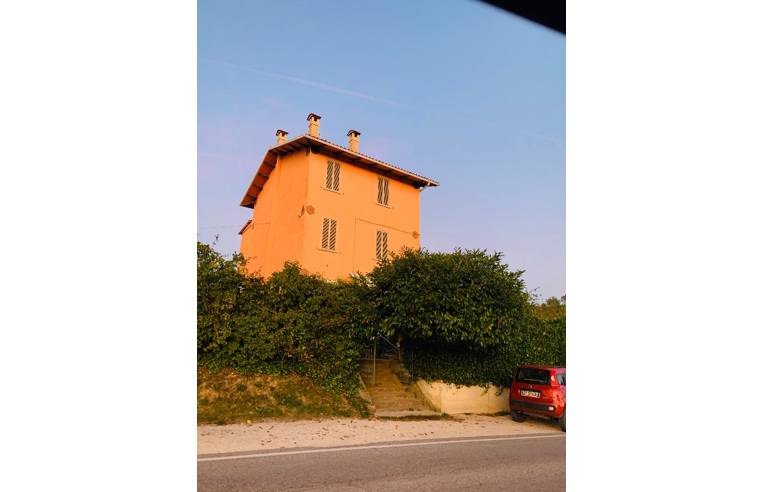 immagine annuncio 5 di 6