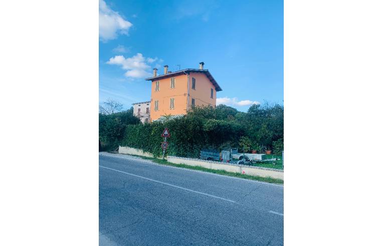 immagine annuncio 1 di 6