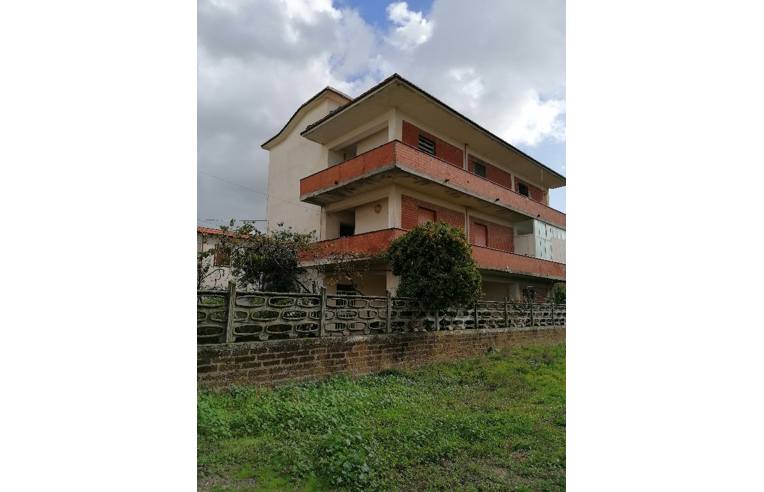 immagine annuncio 3 di 7