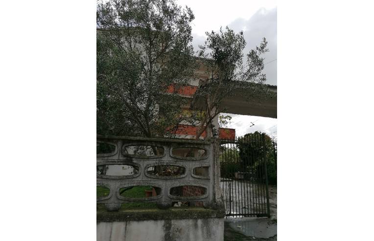 immagine annuncio 2 di 7