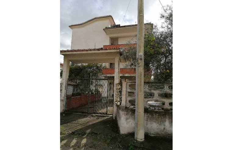 immagine annuncio 5 di 7