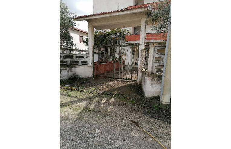 immagine annuncio 6 di 7