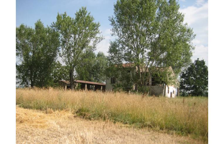 Privato Vende Rustico/Casale, rustico a soragna 3 unita ...