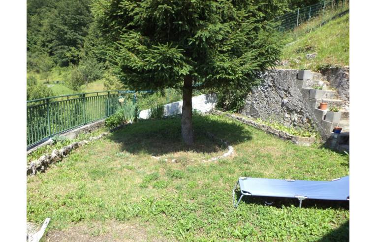 immagine annuncio 4 di 6
