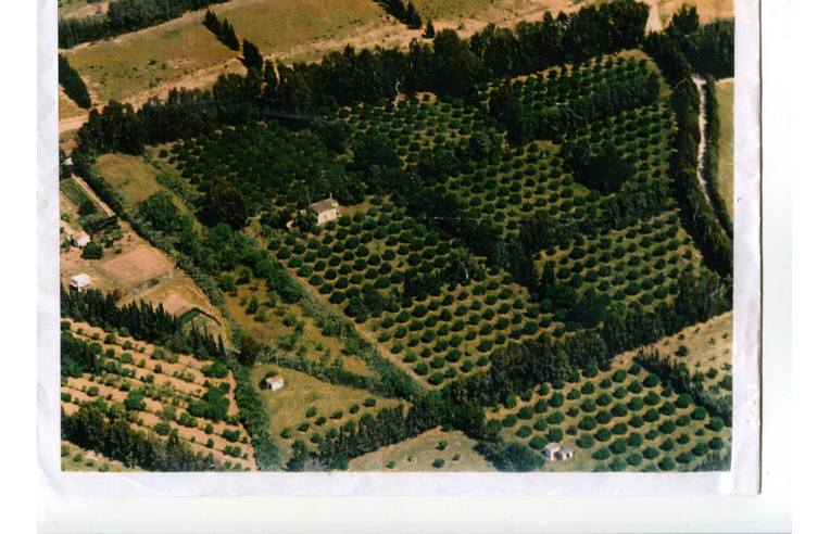 Foto 4 - Terreno Agricolo/Coltura in Vendita da Privato - San Vito (Cagliari)