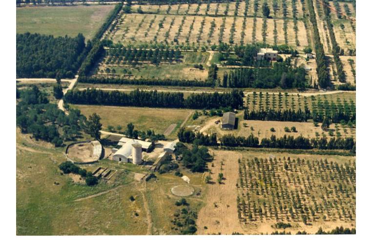Foto 3 - Terreno Agricolo/Coltura in Vendita da Privato - San Vito (Cagliari)