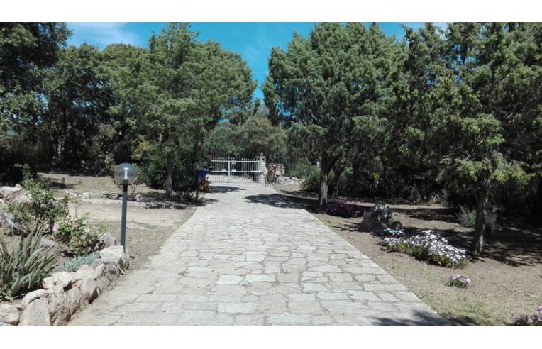Foto 4 - Casa indipendente in Vendita da Privato - Palau (Olbia-Tempio)