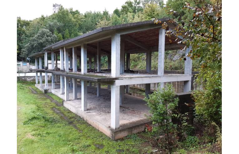 immagine annuncio 5 di 7