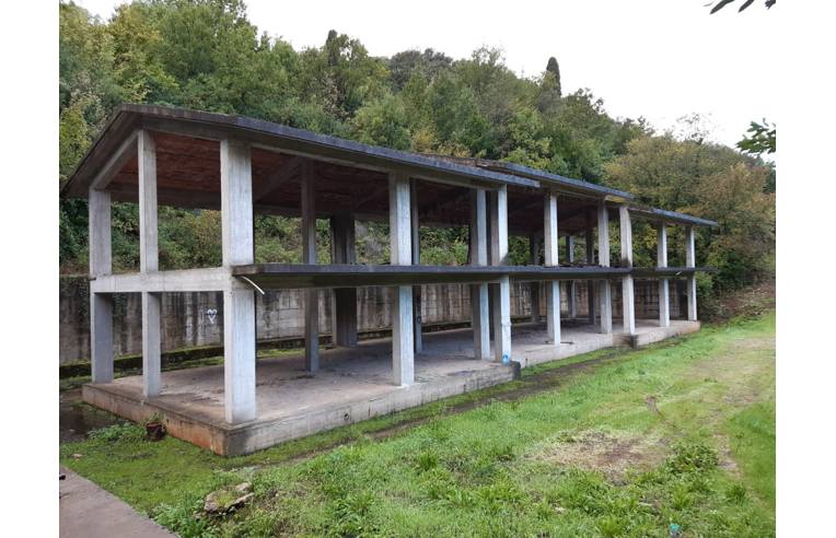 immagine annuncio 4 di 7