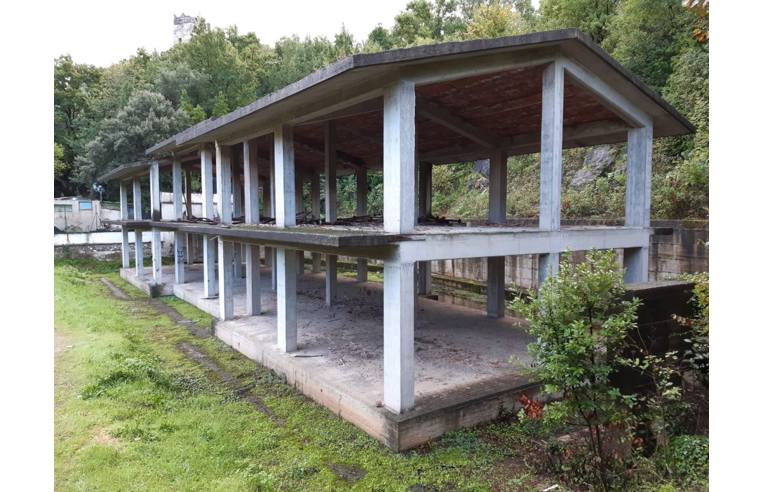 immagine annuncio 2 di 7