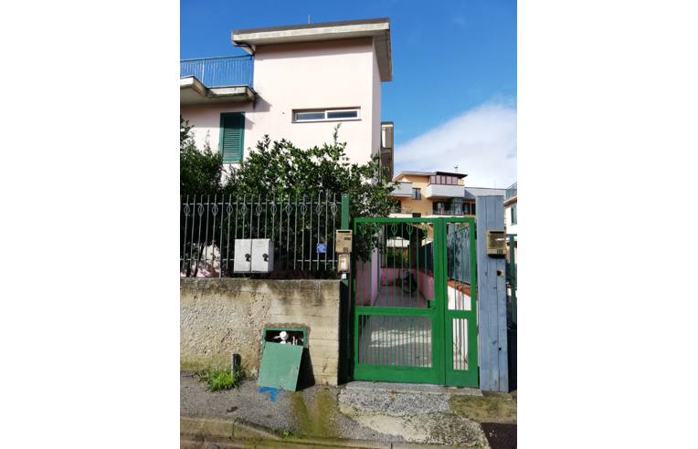 immagine annuncio 1 di 7