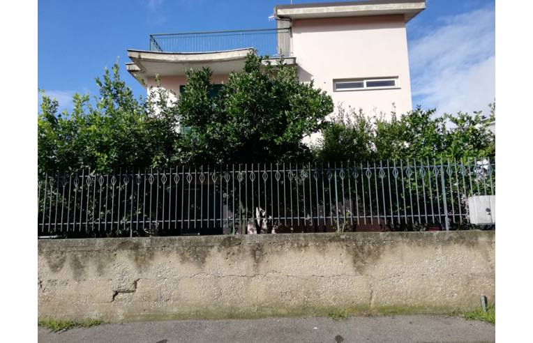 immagine annuncio 3 di 7