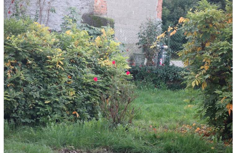 immagine annuncio 3 di 7
