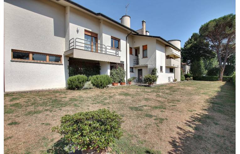 immagine annuncio 4 di 7