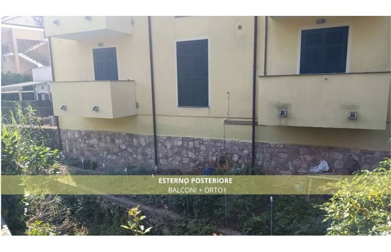 immagine annuncio 6 di 7