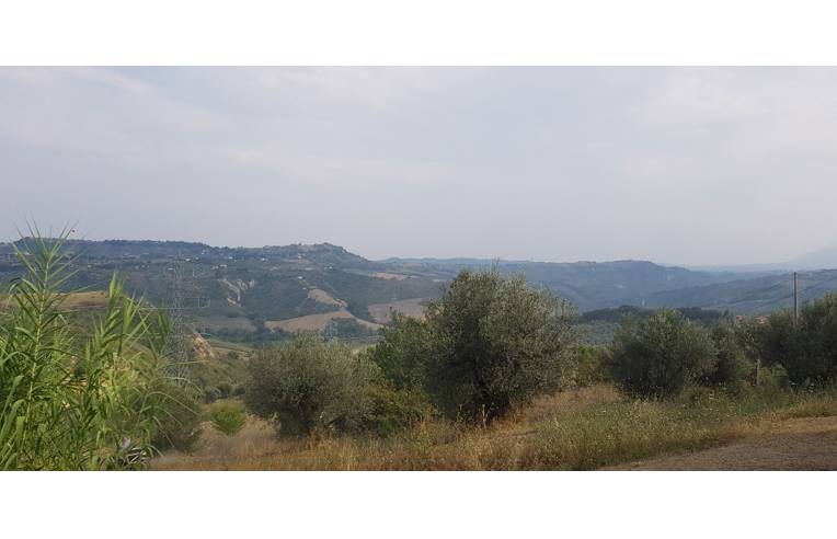immagine annuncio 3 di 7