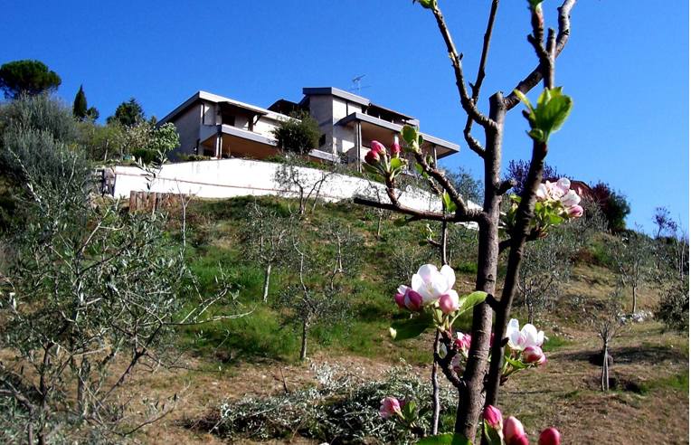 immagine annuncio 2 di 7