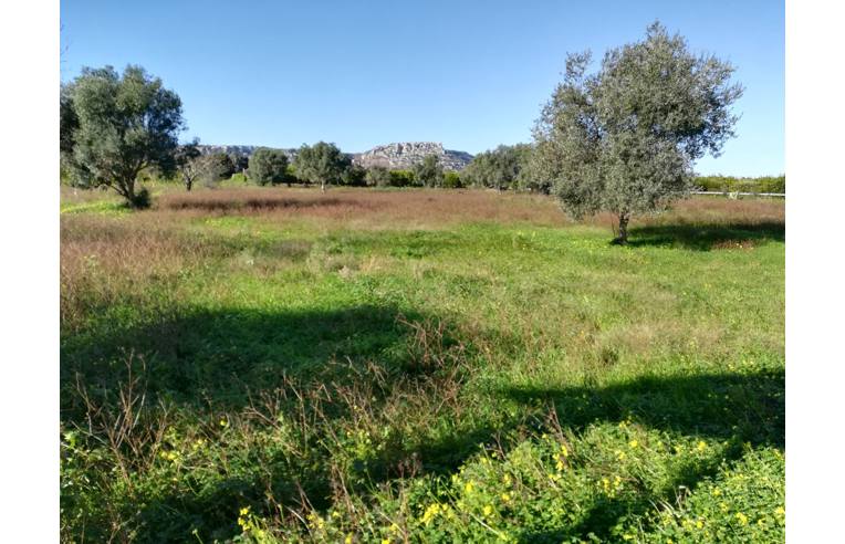 Foto 6 - Villa in Vendita da Privato - Siracusa (Siracusa)