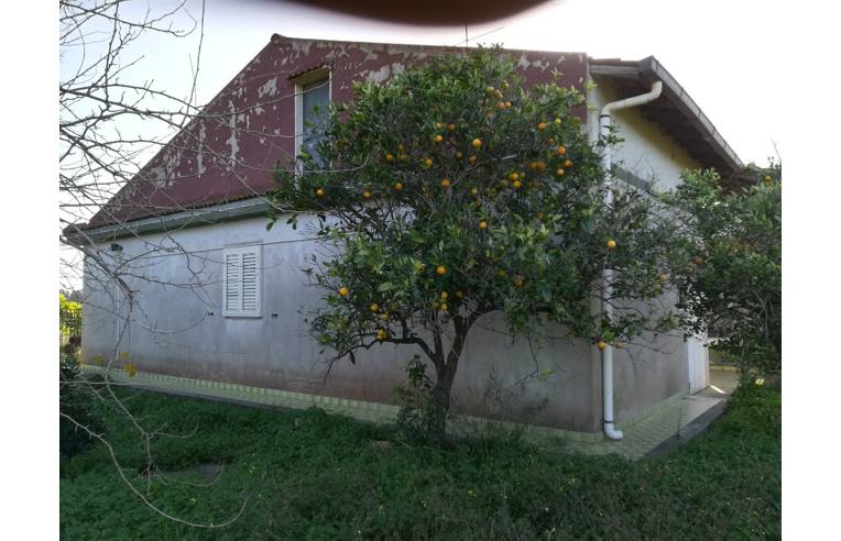 Foto 3 - Villa in Vendita da Privato - Siracusa (Siracusa)