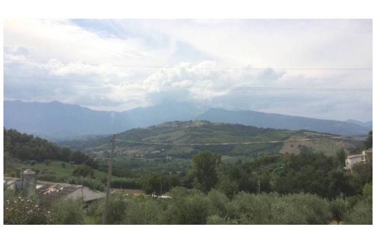 immagine annuncio 5 di 6