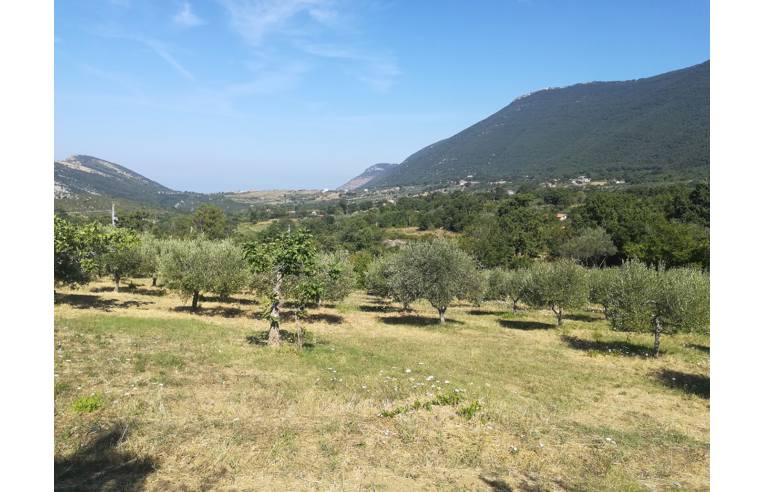 immagine annuncio 2 di 7