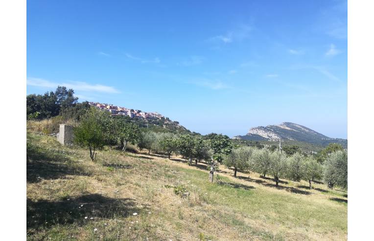 Terreno Edificabile Commerciale in vendita a Trentinara, Contrada Creta Rossa 1