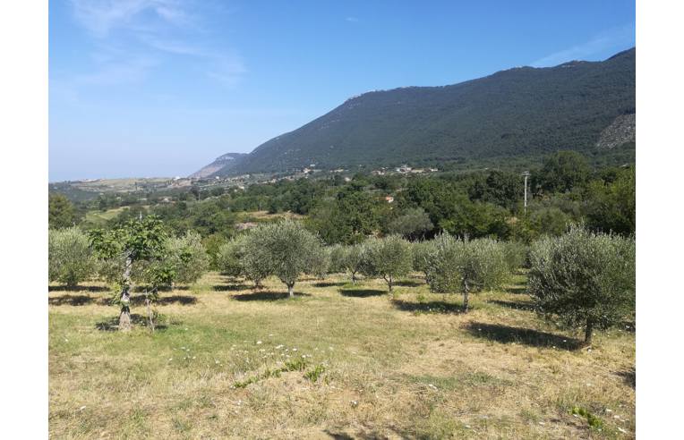 immagine annuncio 4 di 7