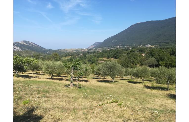 immagine annuncio 3 di 7
