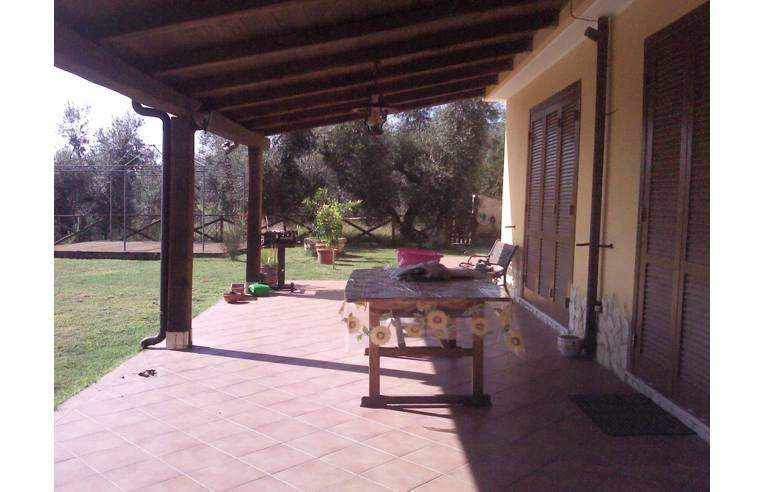 immagine annuncio 5 di 7