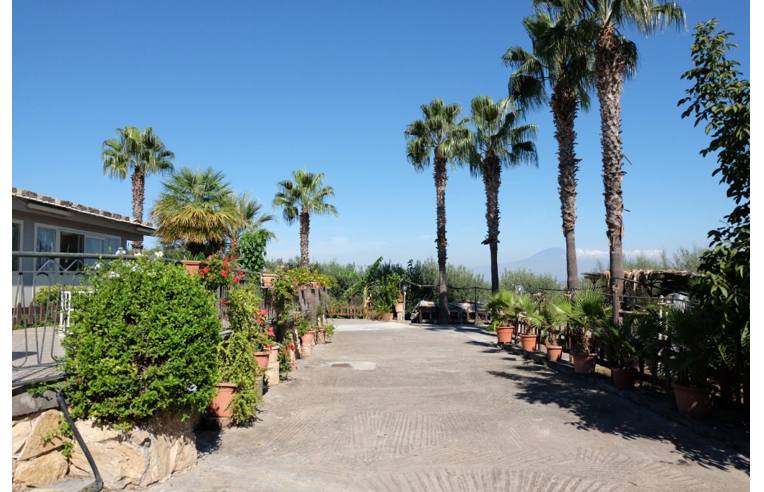 Foto 8 - Villa in Vendita da Privato - Carlentini (Siracusa)