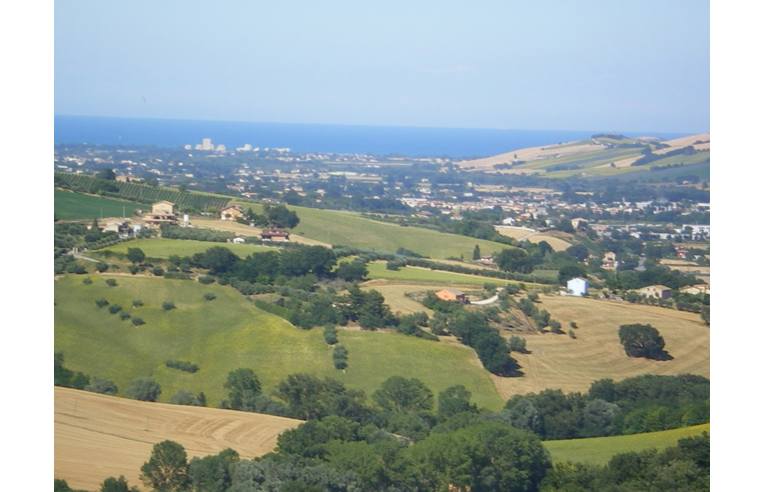 immagine annuncio 4 di 7