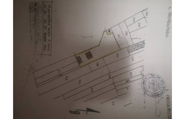 immagine annuncio 4 di 6