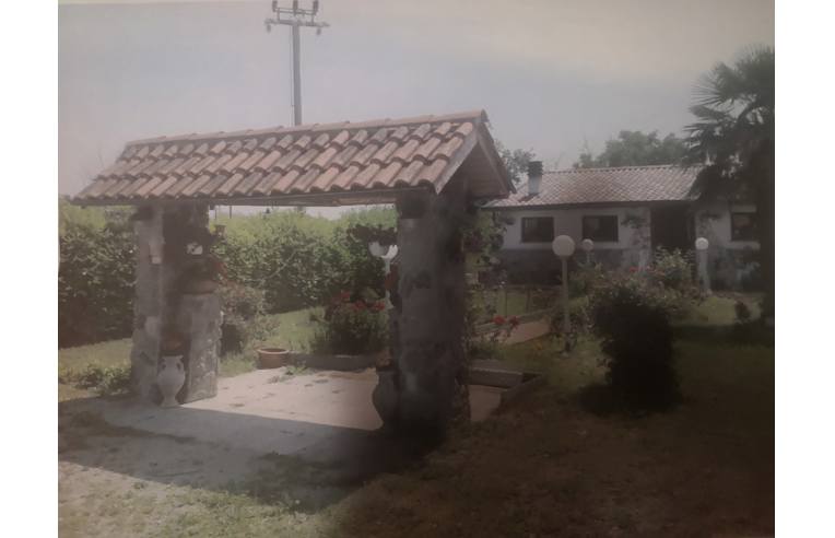 immagine annuncio 2 di 6