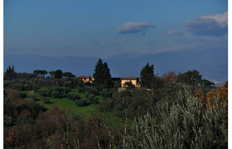 immagine annuncio 2 di 7
