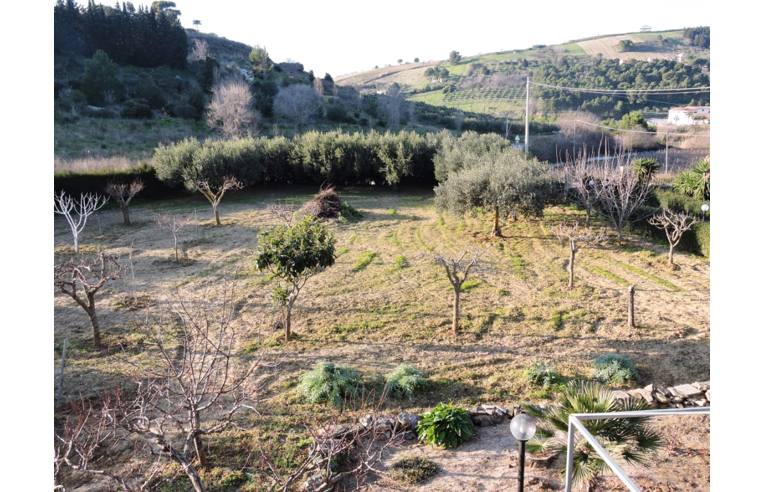 immagine annuncio 3 di 7
