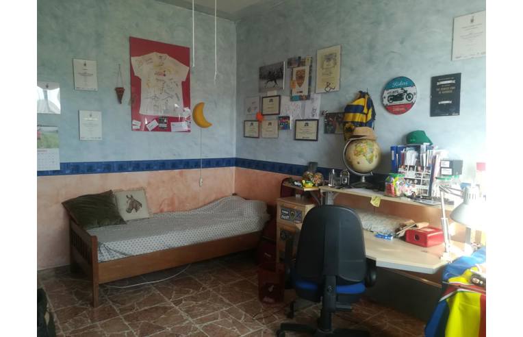 immagine annuncio 4 di 7