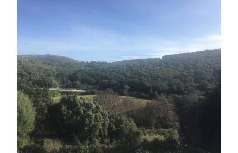 Foto 6 - Terreno Agricolo/Coltura in Vendita da Privato - Luogosanto (Olbia-Tempio)