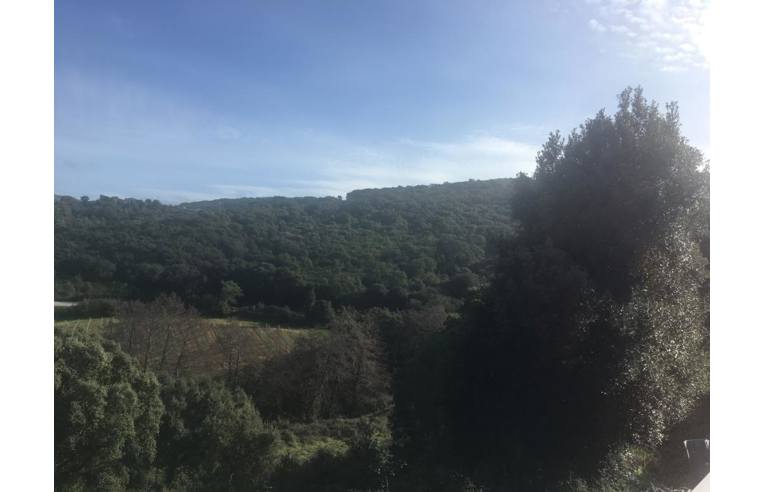 Foto 5 - Terreno Agricolo/Coltura in Vendita da Privato - Luogosanto (Olbia-Tempio)