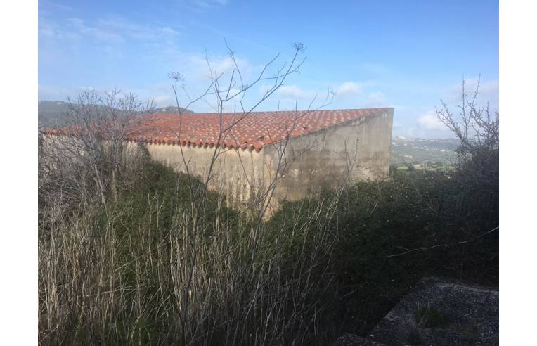 Foto 2 - Terreno Agricolo/Coltura in Vendita da Privato - Luogosanto (Olbia-Tempio)