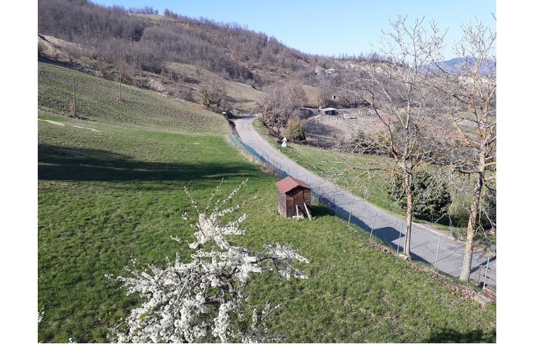 immagine annuncio 5 di 6