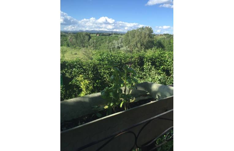 Foto 6 - Porzione di casa in Vendita da Privato - Asciano, Frazione Arbia
