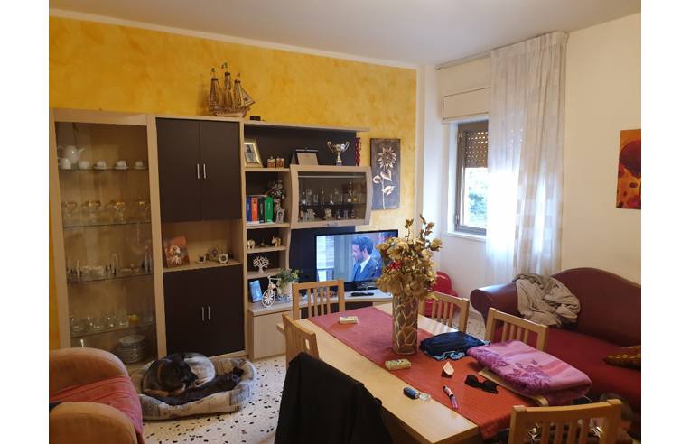immagine annuncio 5 di 7