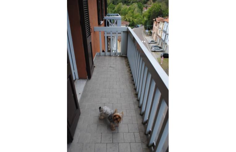 immagine annuncio 4 di 7