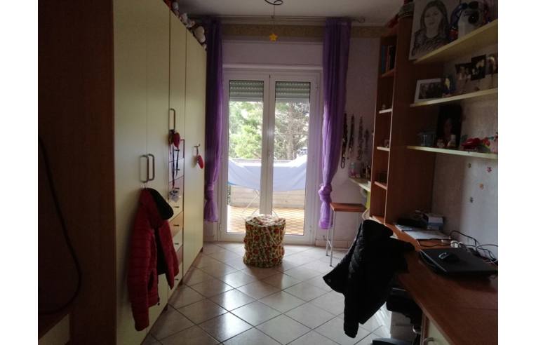 immagine annuncio 5 di 7