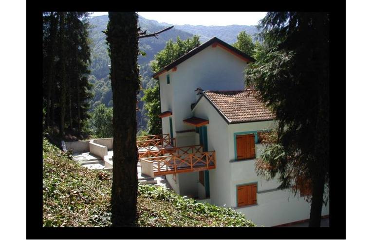 immagine annuncio 2 di 7