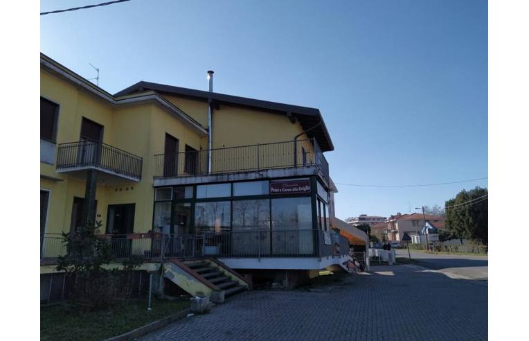 immagine annuncio 4 di 6