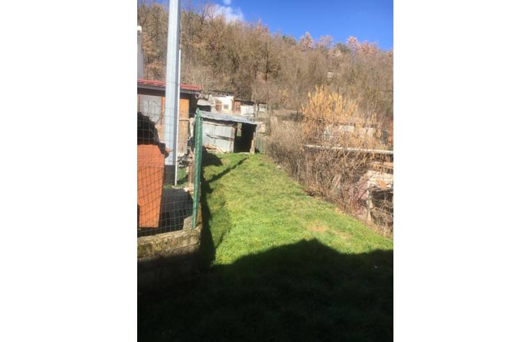 immagine annuncio 2 di 6