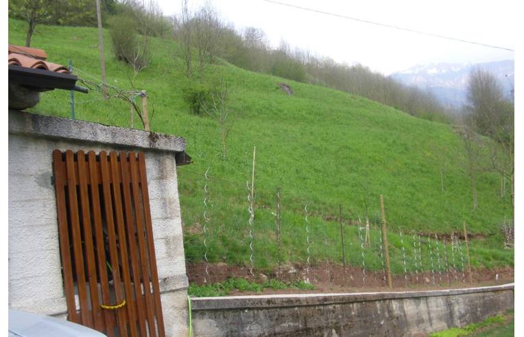 immagine annuncio 6 di 7