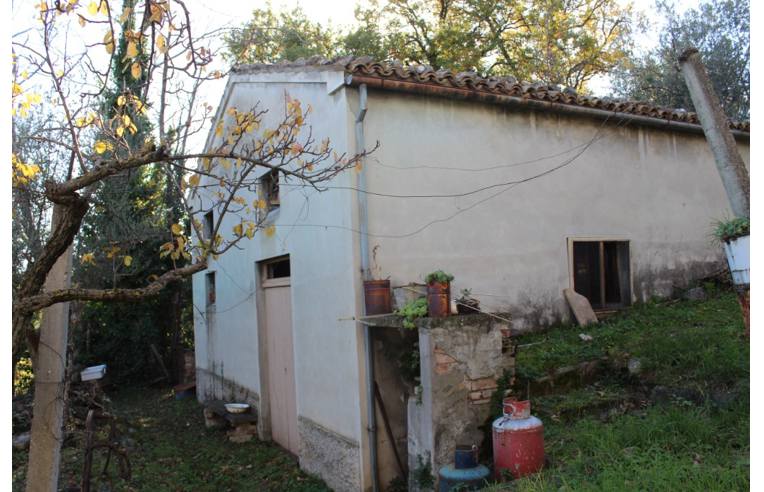 immagine annuncio 1 di 7